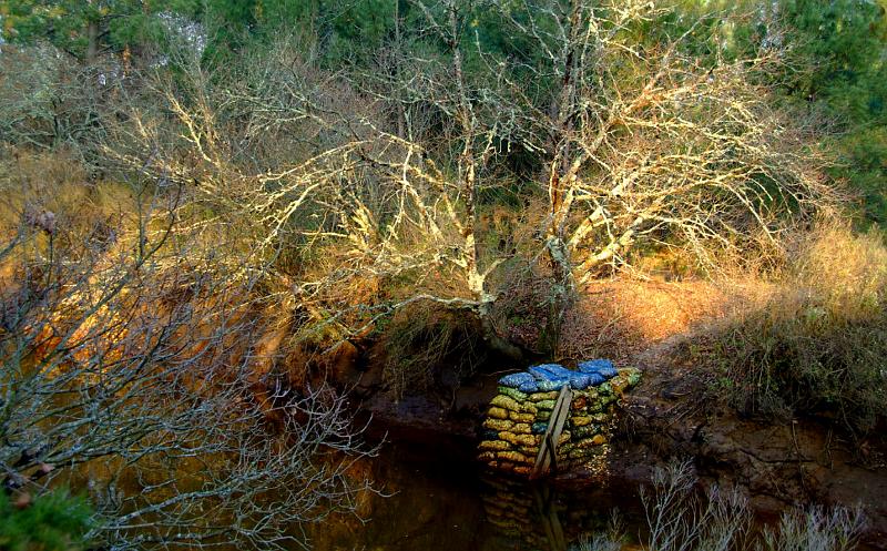 Pibale installation 6.JPG